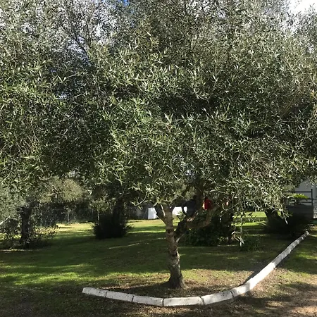 Σπίτι διακοπών Casa Isabela Chiclana de la Frontera