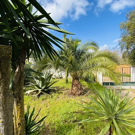 Casa Isabela Σπίτι διακοπών